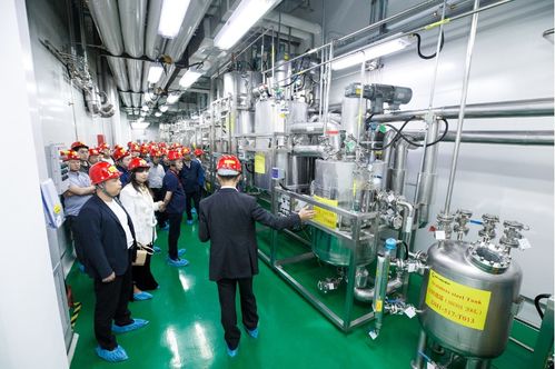 連續賦能，技術變現 連續流技術推廣現場會在敦化成功召開